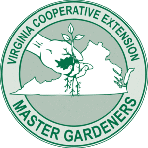 VCE-MG-logo