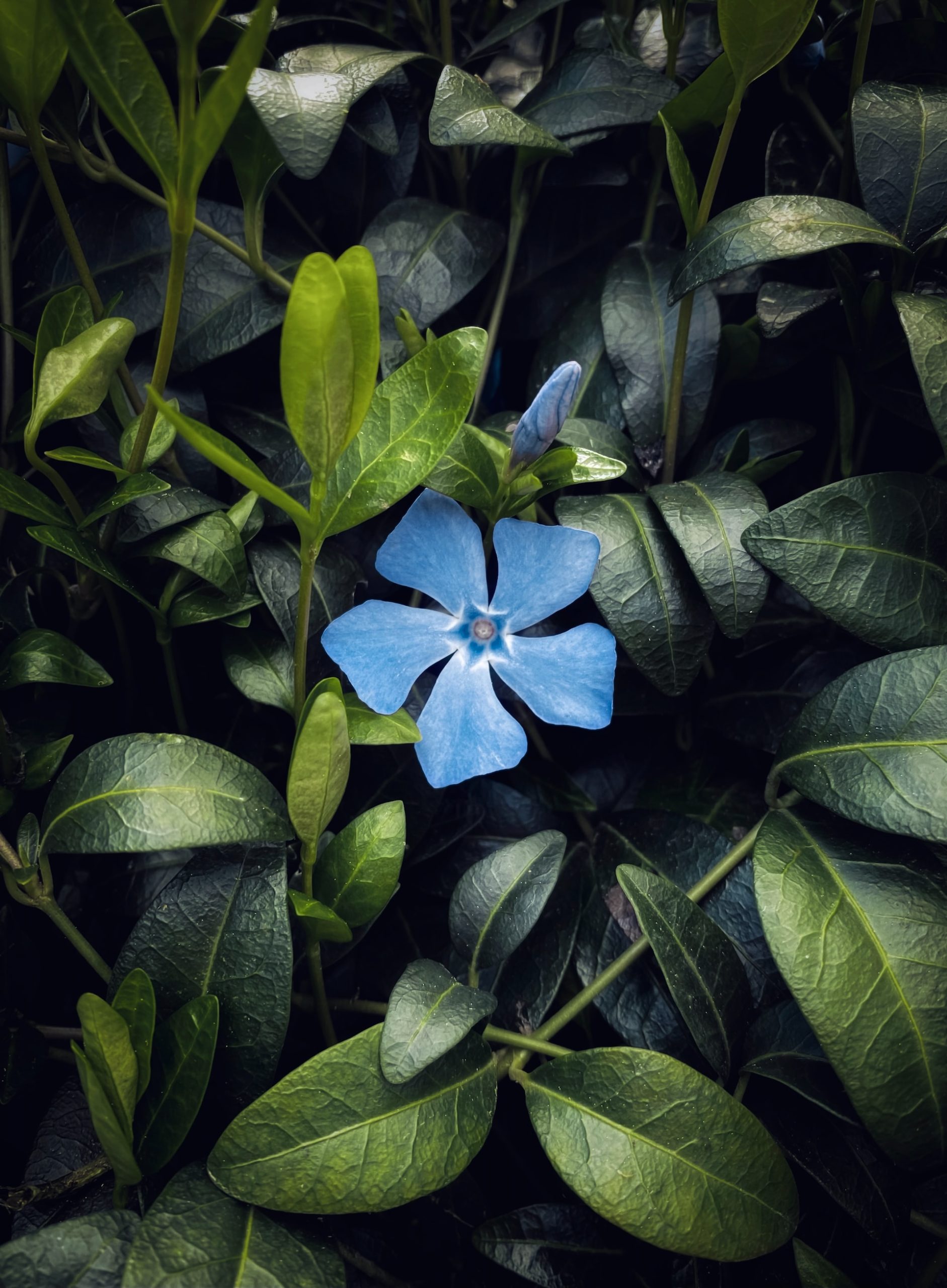 eugene-golovesov-sO9bzmSfzMU-unsplash