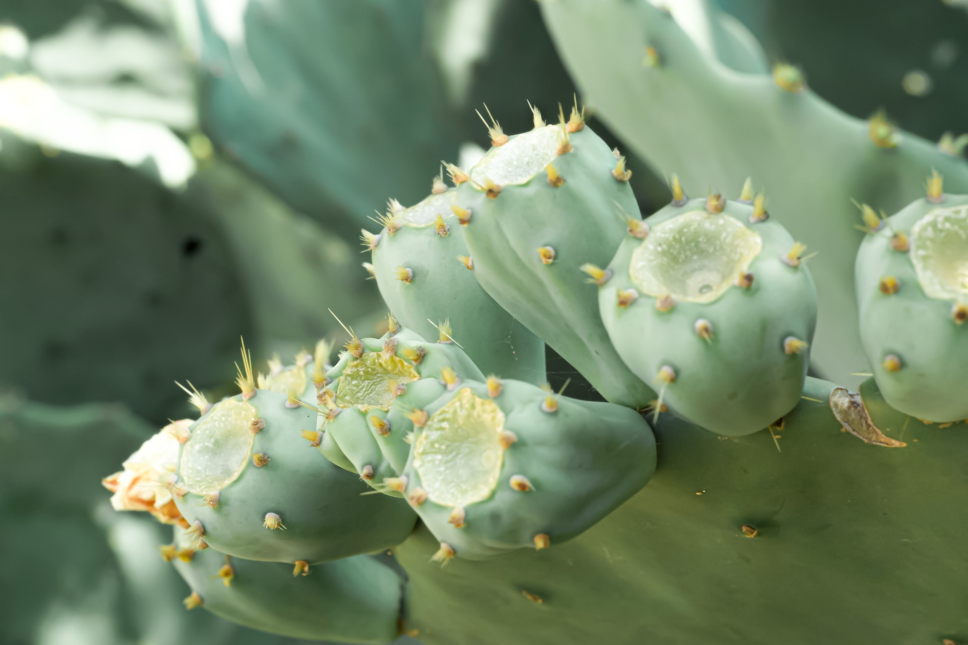 kelly-jiang-0WFDA9vjsG8-unsplash