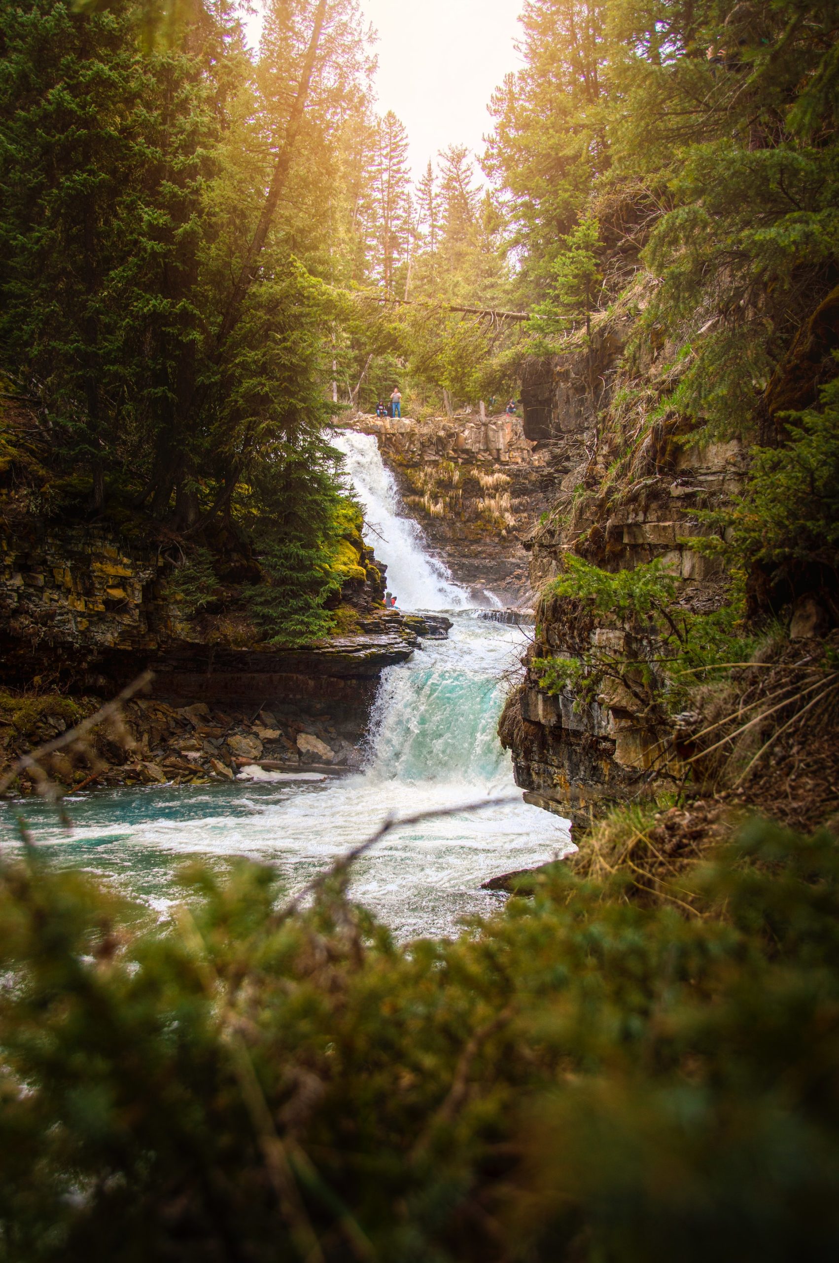 steven-cordes-_BLumpF_FRA-unsplash