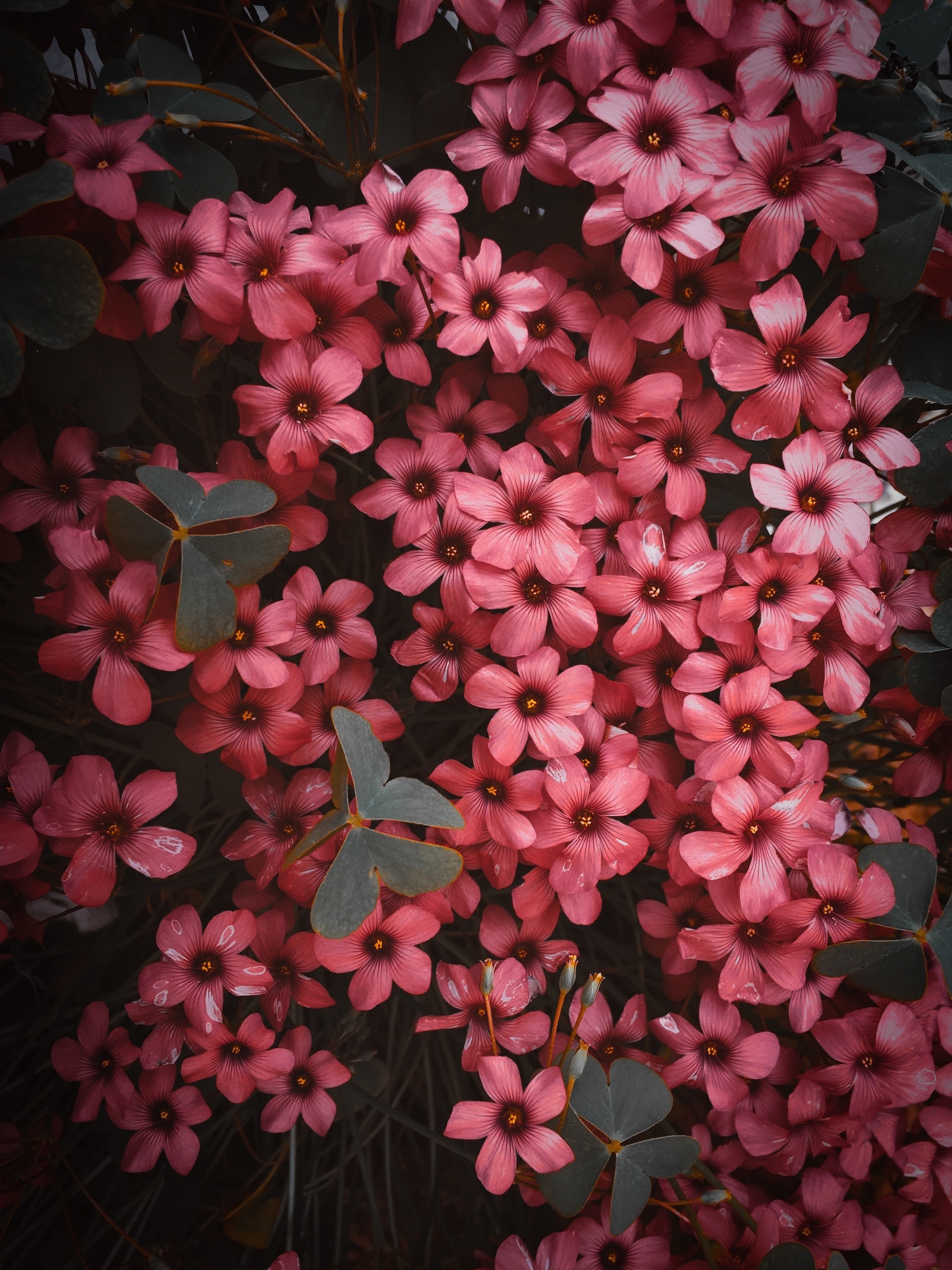 tavga-k-s-0cmlQu7u7uM-unsplash