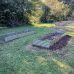 CSB Gardens Fall 2024