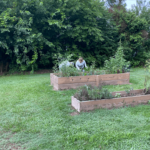 July 2024 CSB Gardens