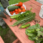 July 2024 CSB Gardens