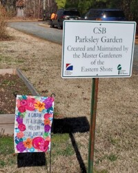 CSB Gardens Spring 25